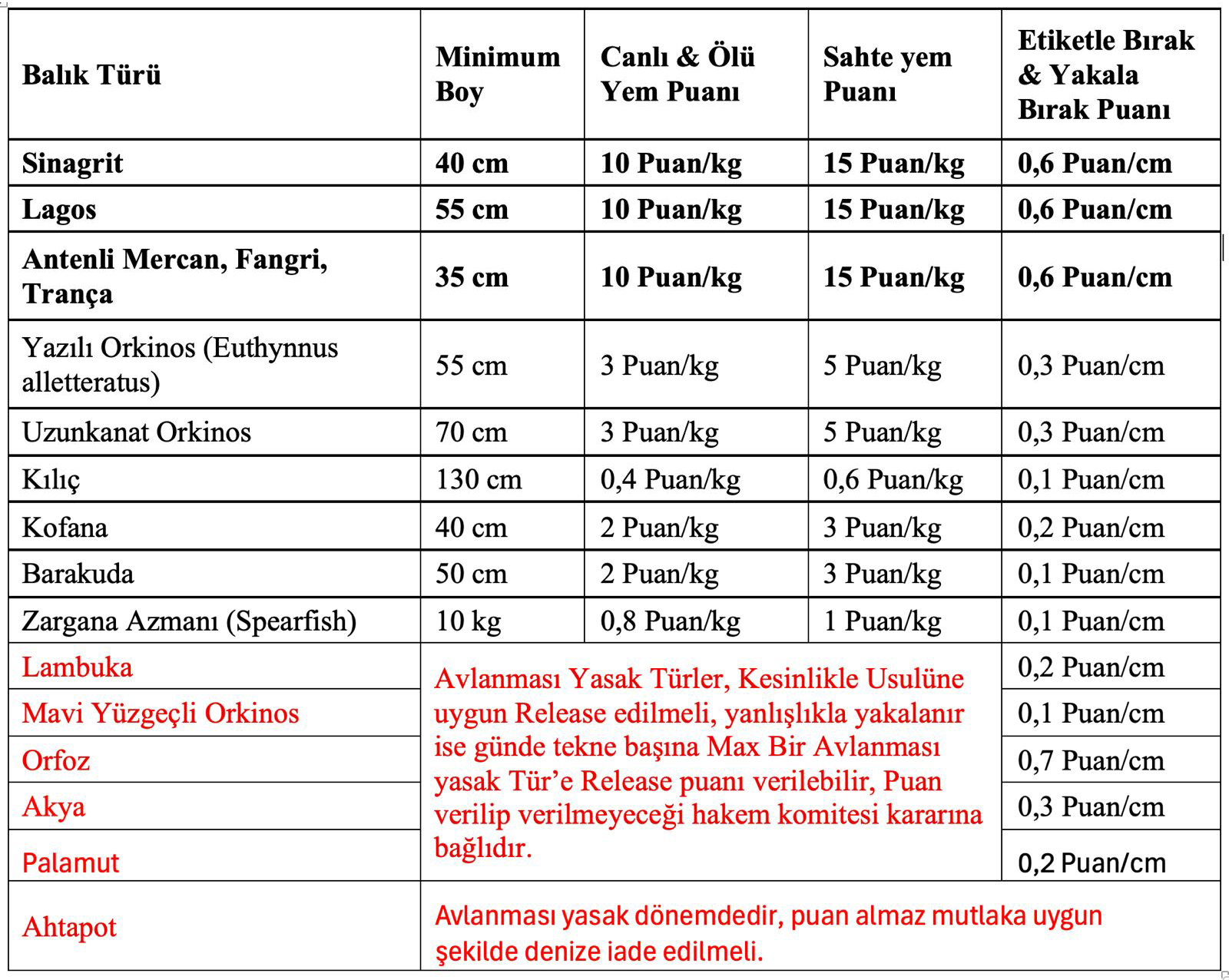 Bluefin Turnuva Logo