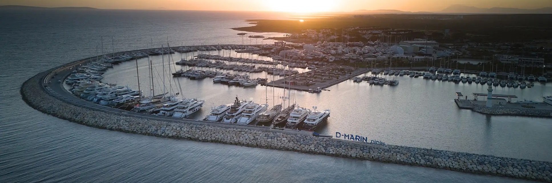 Bluefin Turnuva Logo